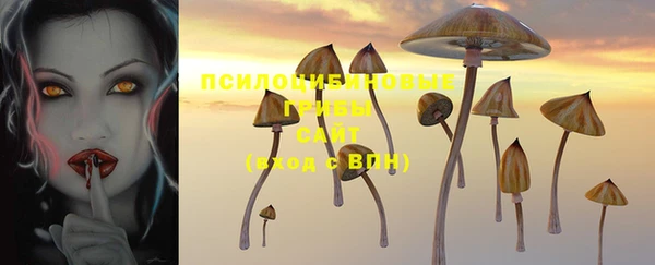 амф Кинешма