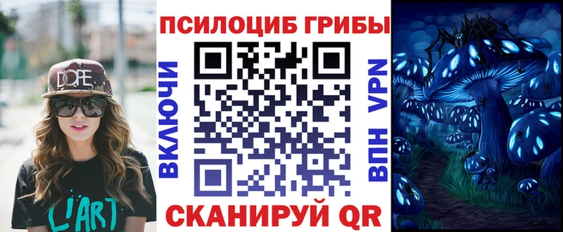 Галлюциногенные грибы Magic Shrooms  Купить  Салехард 
